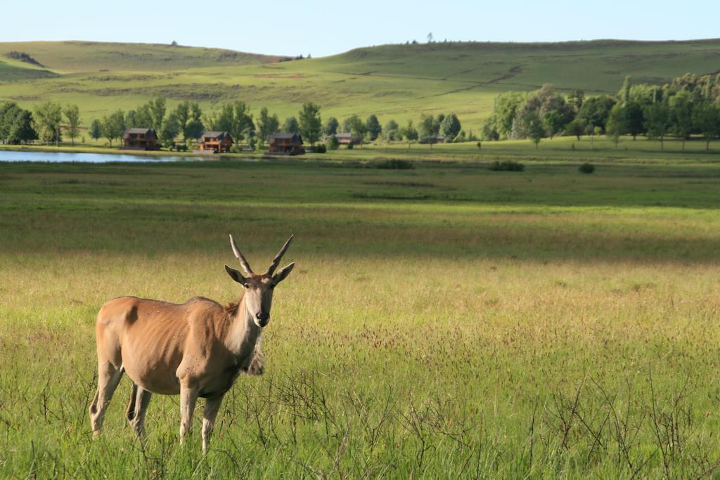 Sani Valley Nature Lodges Himeville Eksteriør billede